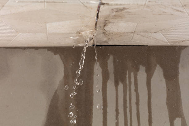 Professional Water Damage Repair technician working in Villanova, PA